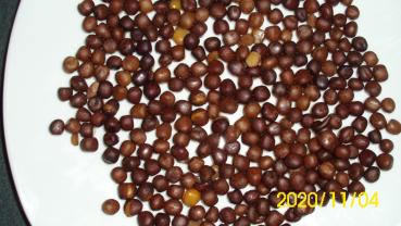 Maple Peas