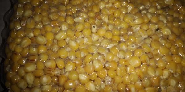 Mais 2,5Kg